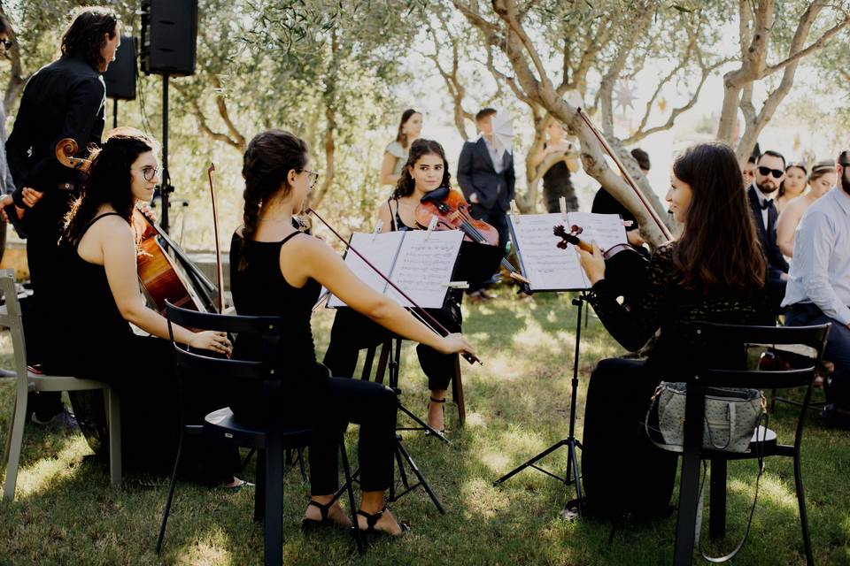 Musica nel giardino