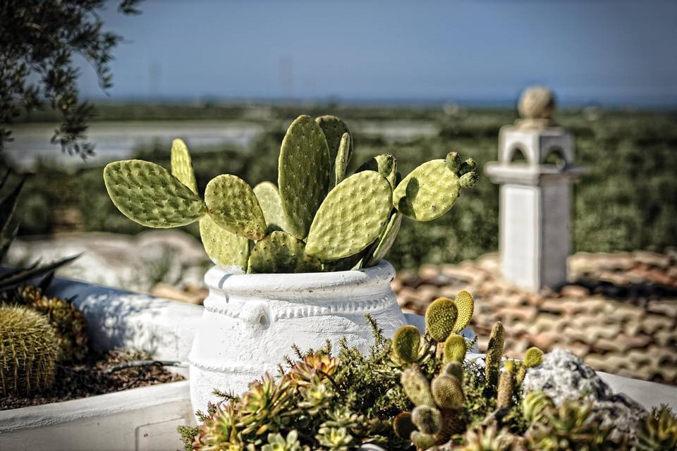 Scorcio del giardino pensile