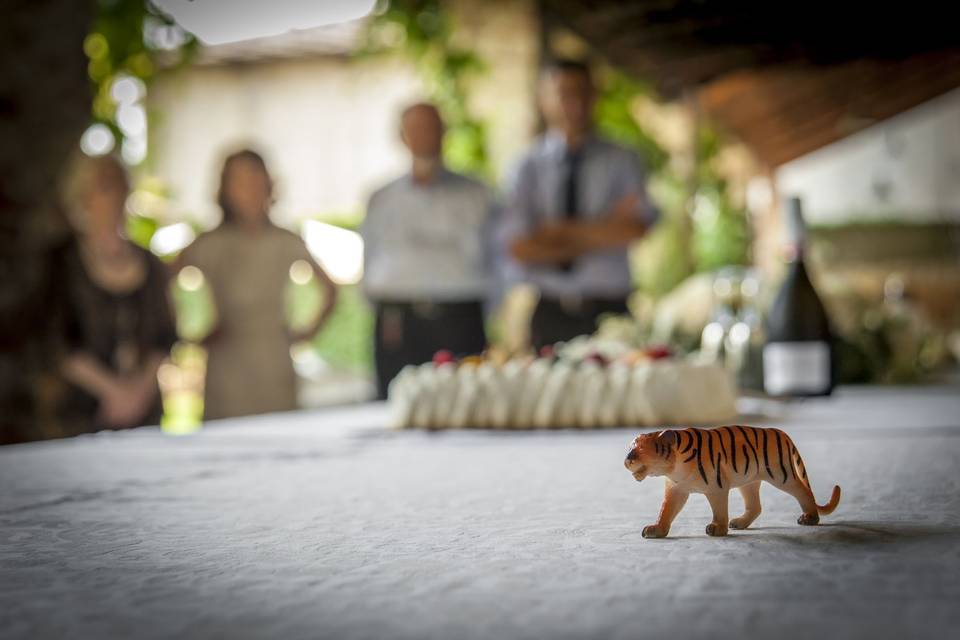 Tigri a un matrimonio