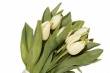Bouquet tulipani