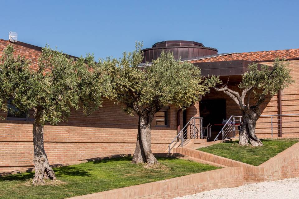 Cantine Briziarelli