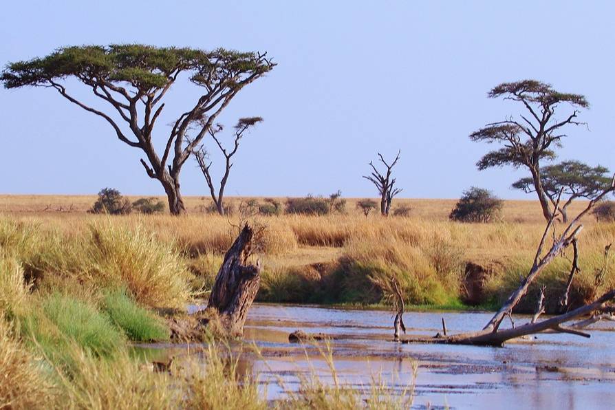 La mia tanzania