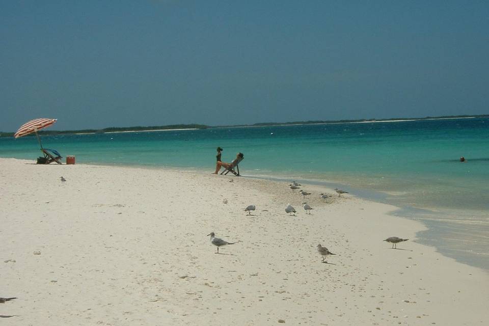 Los Roques