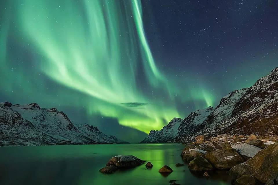 Norvegia