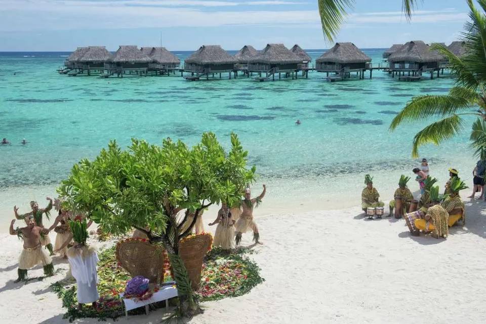 Kami-Nari Tour Operator
