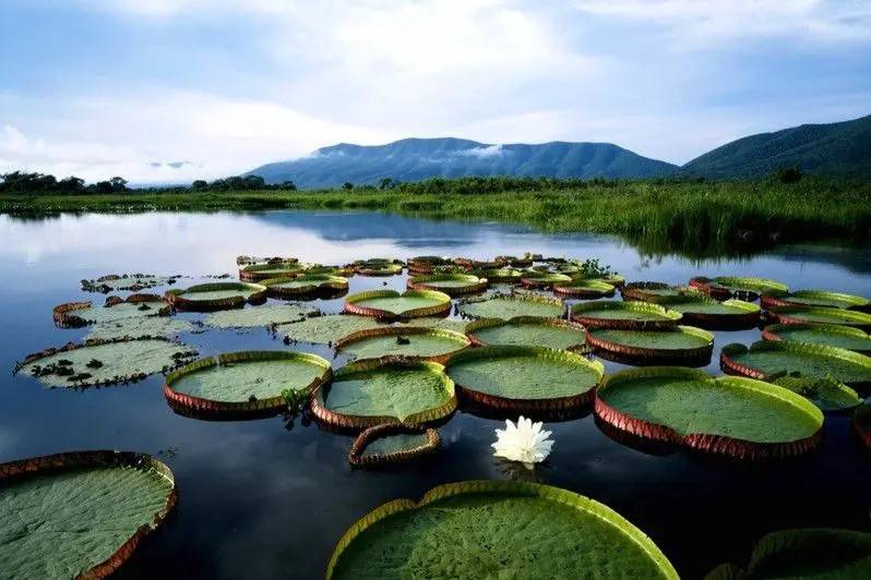Indonesia