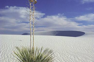 Baja California