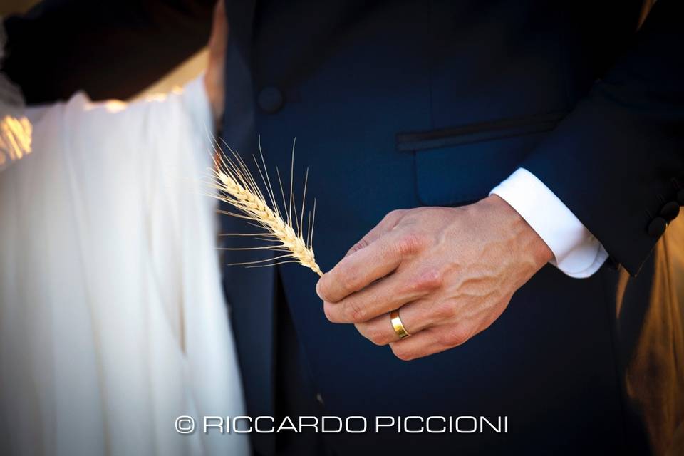 Riccardo Piccioni Set.20 Photo