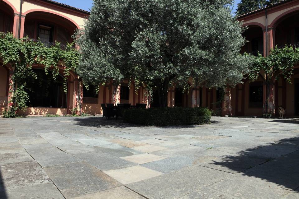 Patio centrale