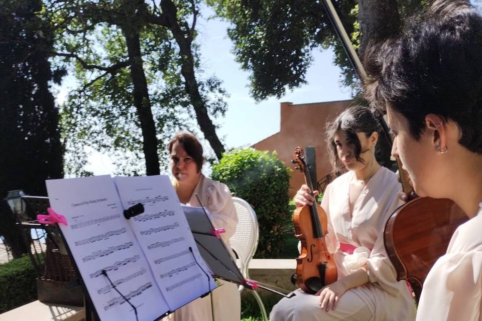 Musica