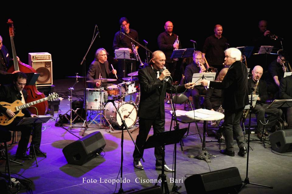 Franci Palmisano
