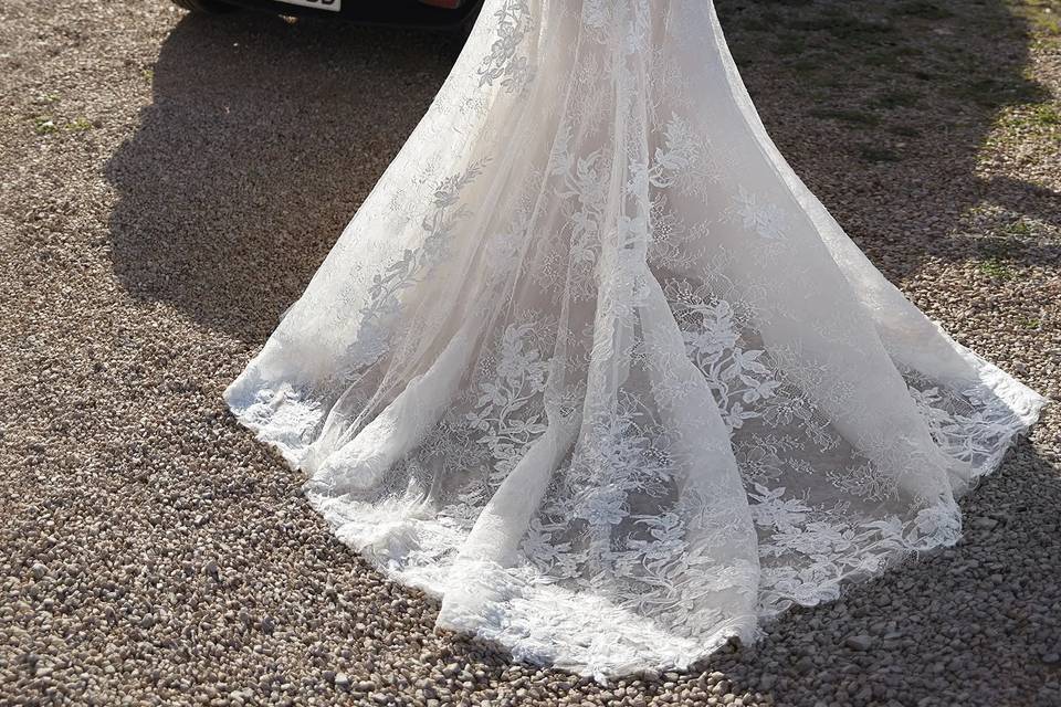 Pronovias 2024