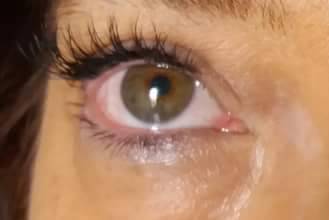 Ciglia mink