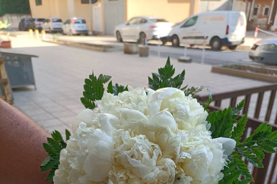 Creazioni Fiordiluna