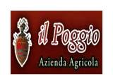 Il Poggio