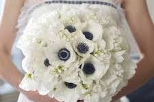 White Flowers Wedding Planner
