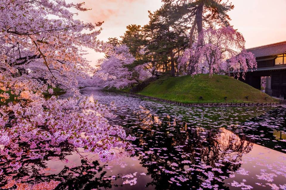 Giappone