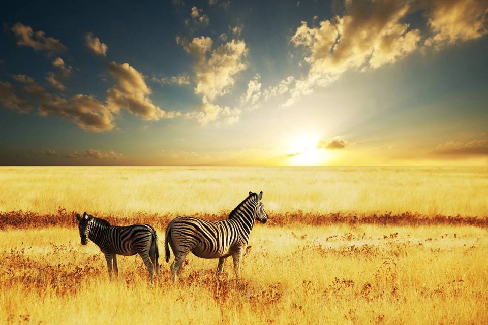 Sud Africa