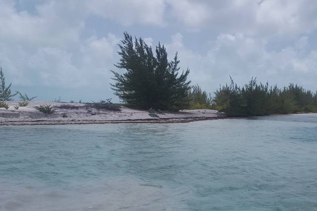 Caraibi