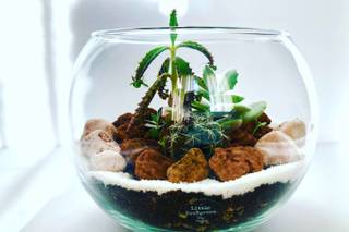 Little Evergreen by Nena