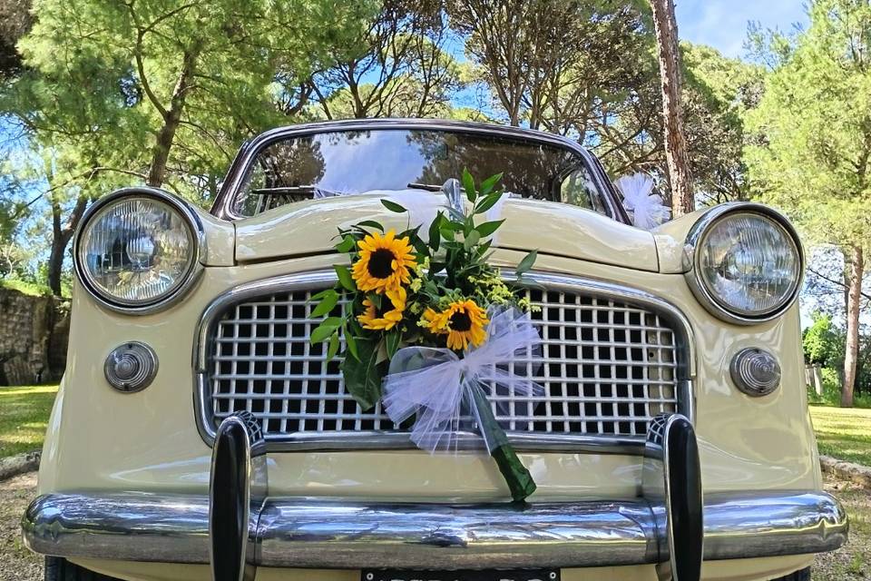 Gianna - Fiat 1100