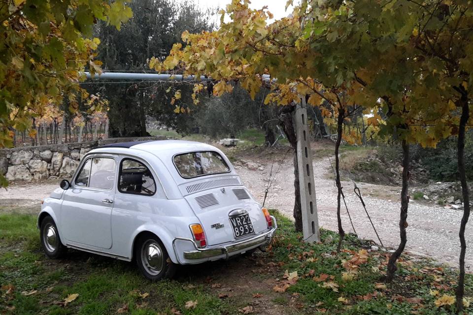 Club Motori Classici Valpolicella