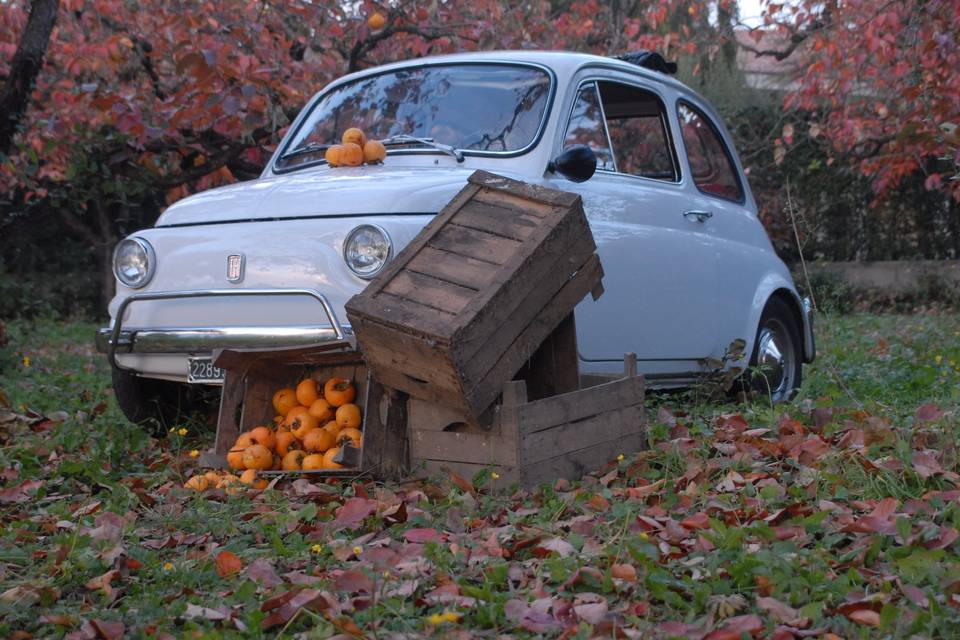 Club Motori Classici Valpolicella