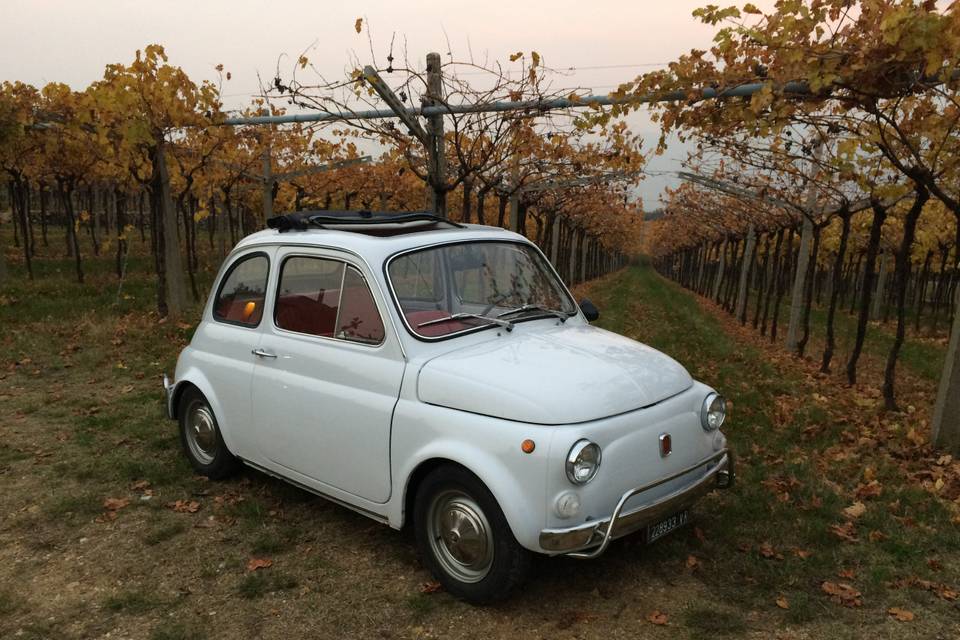 Fiat 500 L