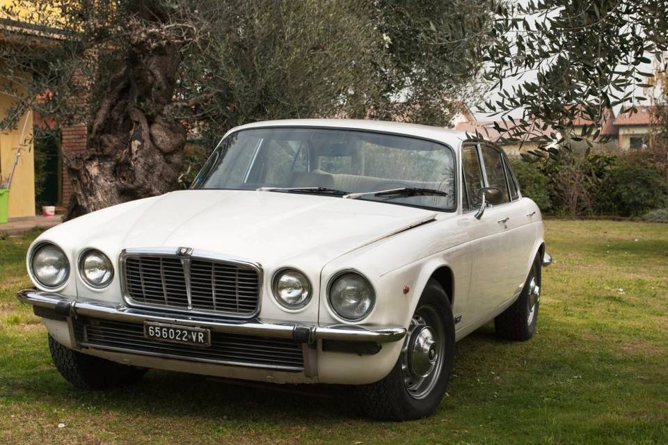 Jaguar XJ