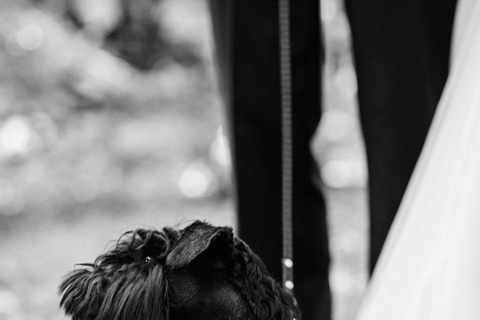 Il testimone della sposa