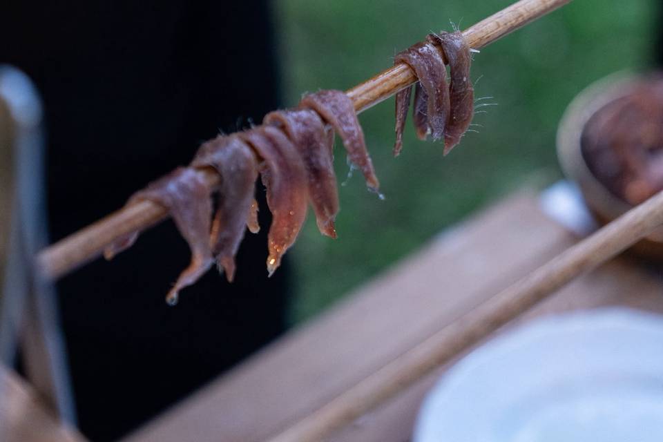 Le alici del Cantabrico