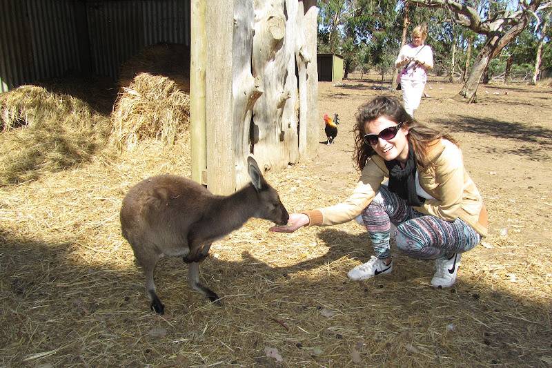 Kangaroo Island, Australia