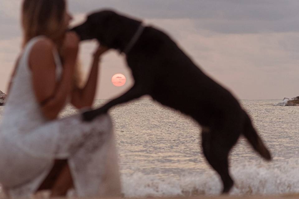Foto