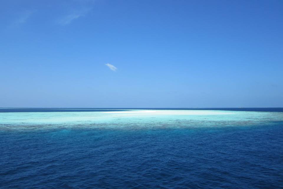 Maldive