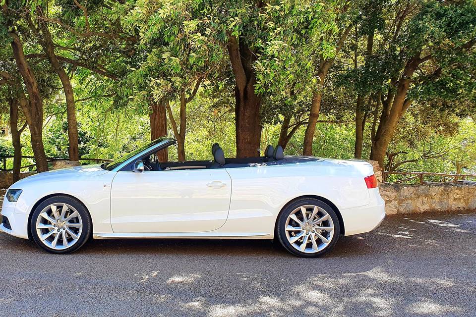 Audi Wedding Day