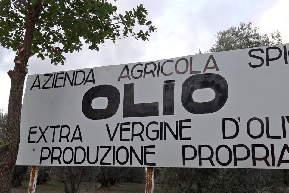 Produzione olio