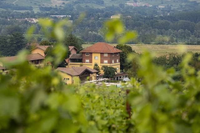 Tenuta Montebello - La Rana Bollita