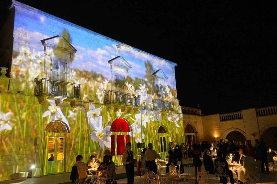 Video Mapping