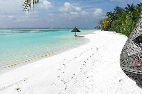 Maldive