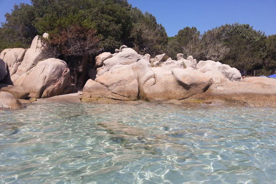 Corsica