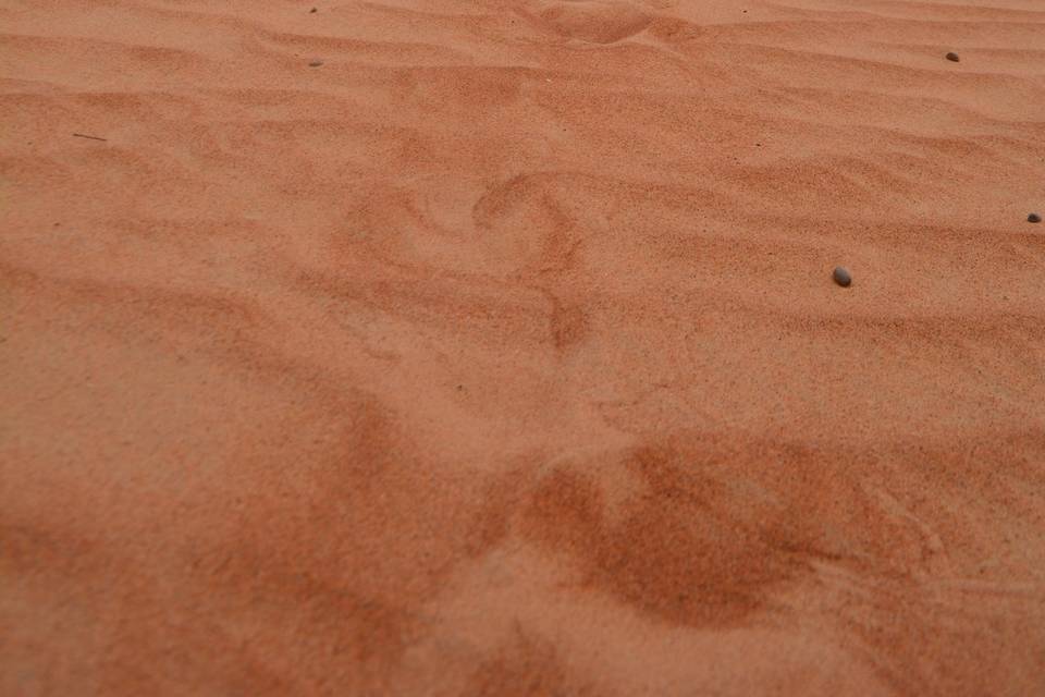 La sabbia del deserto Omanita