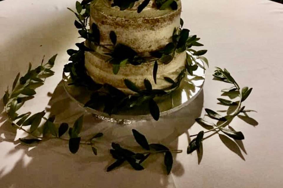 Naked cake