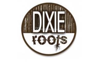 Logo Dixie Roots