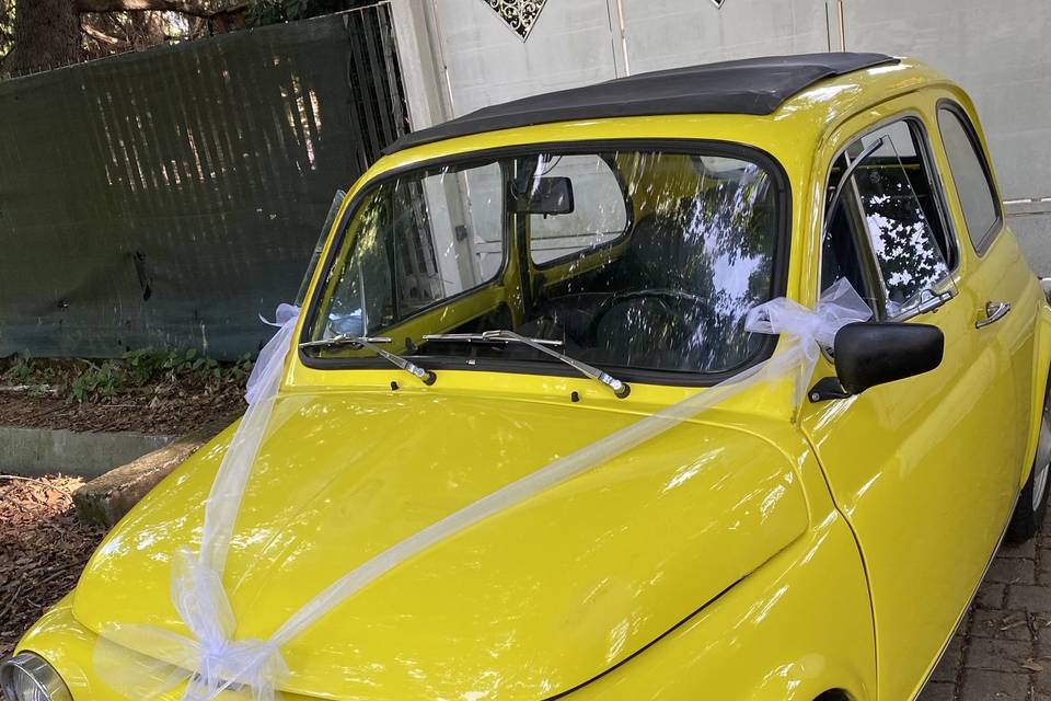 500 gialla