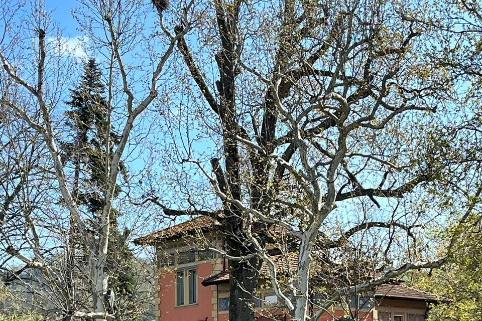 Villa Alice