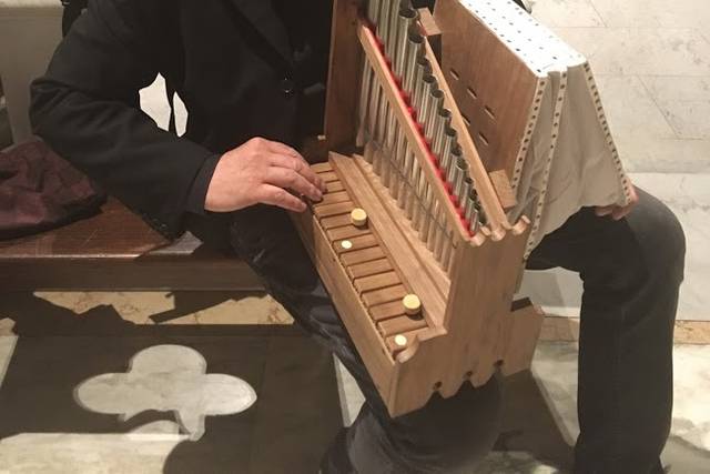 Mirko con organo medievale