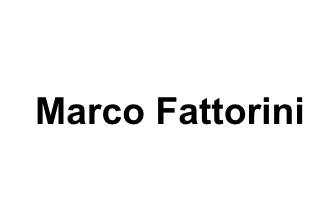Tenore Marco Fattorini