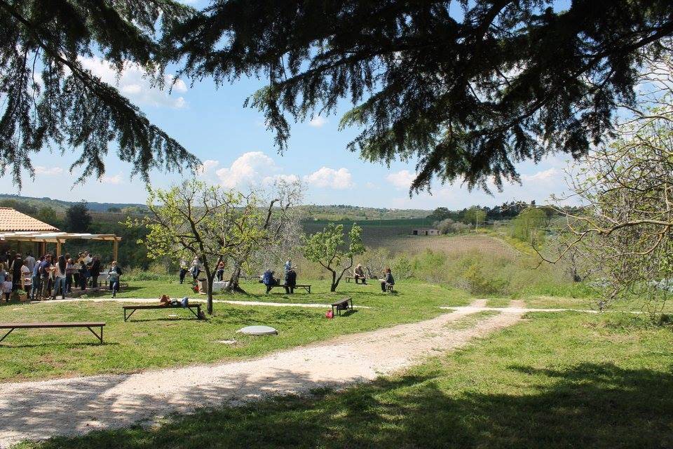 Viale di accesso