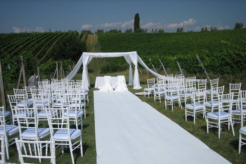 Matrimonio in un vigneto toscano