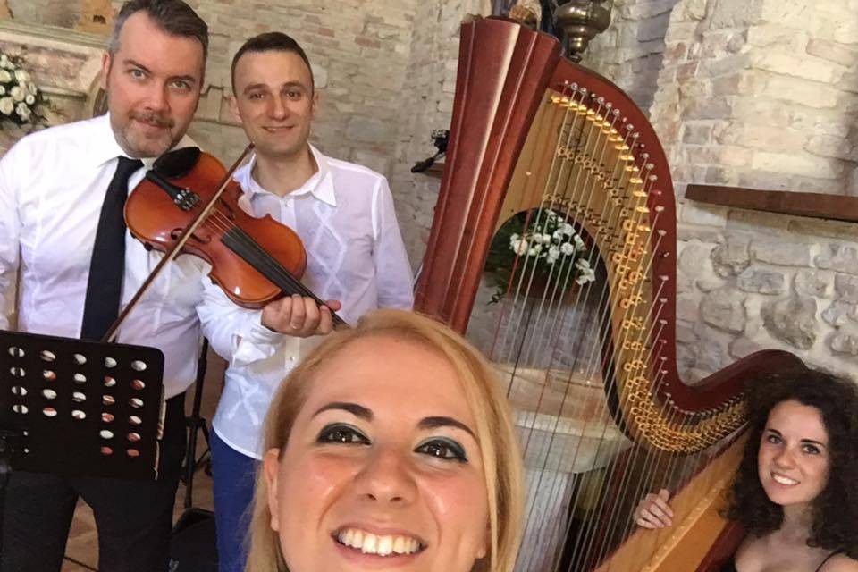 VoiceHarp - Quartetto